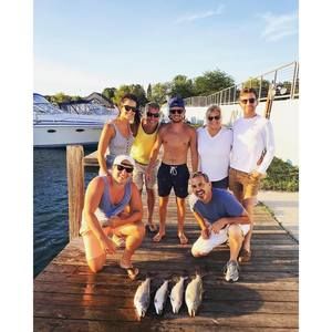 Meet your Posher, Anne